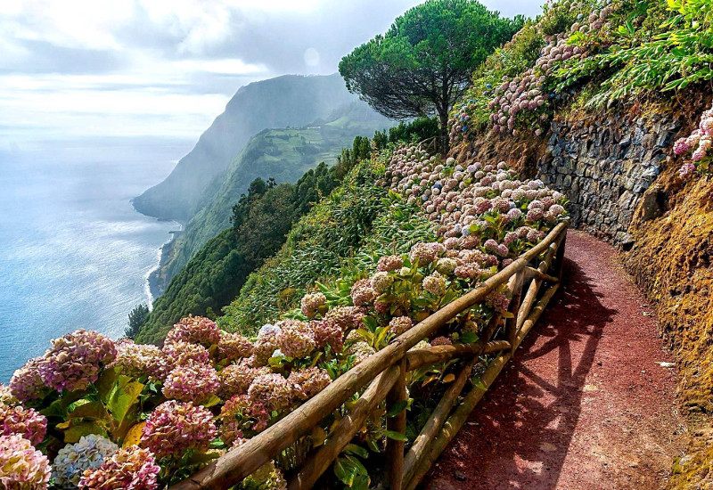 Açores Dias Floridos
